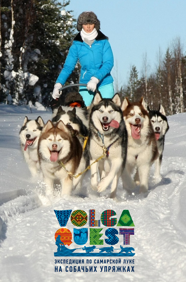 VOLGA QUEST. Экспедиция по Самарской Луке на собачьих упряжках