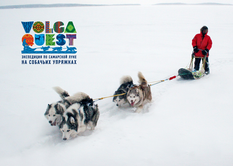 VOLGA QUEST. Экспедиция по Самарской Луке на собачьих упряжках